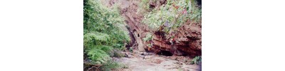 074. திருச்சிங்கவேள்குன்றம்